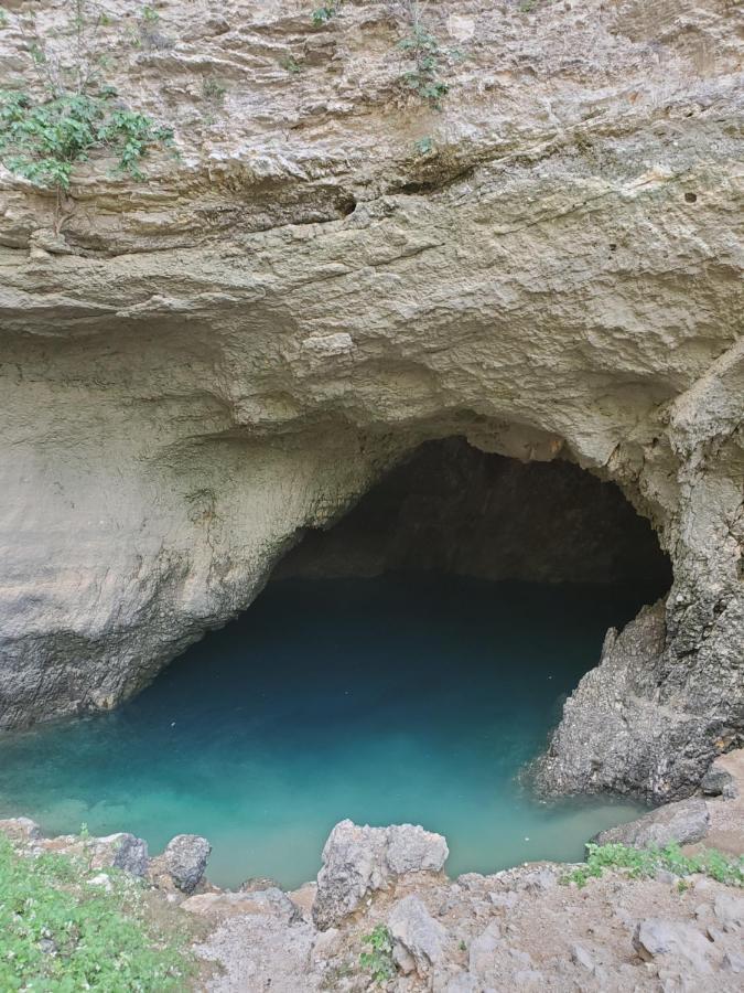 فندق La Fontaine Au Loup Saint-Maurice-sur-Eygues المظهر الخارجي الصورة