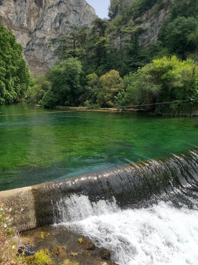 فندق La Fontaine Au Loup Saint-Maurice-sur-Eygues المظهر الخارجي الصورة